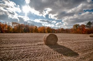 A photograph of a hay bale in a field, with a forest behind and a striking cloudy sky with sun peeking through.