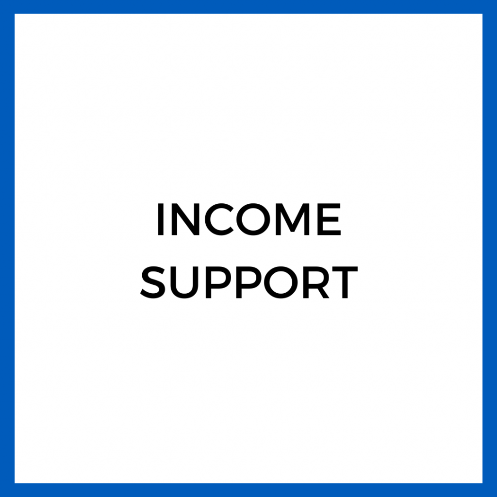 A square graphic with a blue outline that says Income Support. 