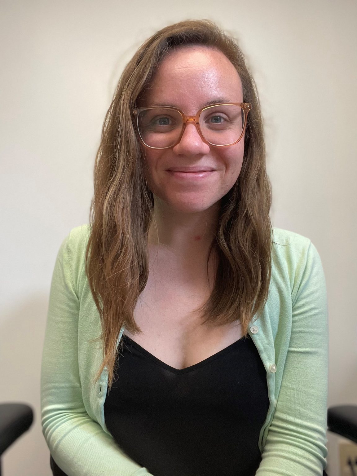 Council Members St. ThomasElgin Local Immigration Partnership